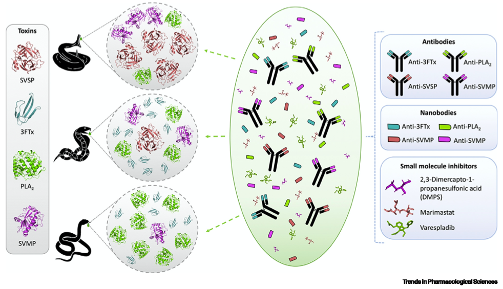 Andreas Laustsen tweet media