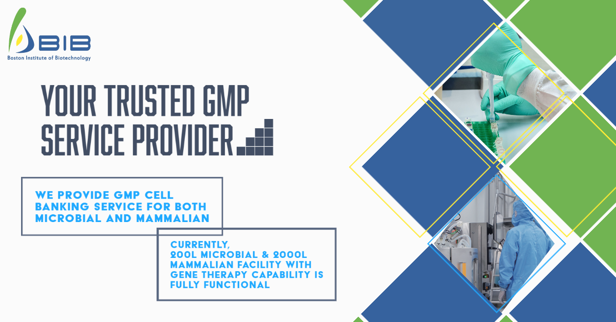 bostonbib's tweet photo. Looking for #GMP partner? BIB is here
Curious to learn more about our GMP #Manufacturing capacity and strengths? Then contact us for more information
+1 833-818-2366
contactus@bostonbib.com
#ProcessDevelopment #CellLineDevelopment #StrainDevelopment #Genetherapy #Biotech #CMC https://t.co/ltPC9u6m5O