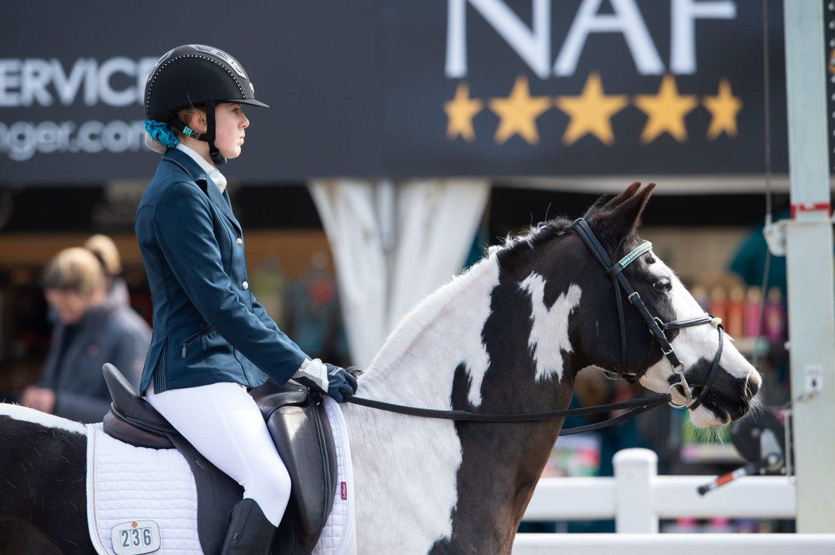 British Dressage tweet media