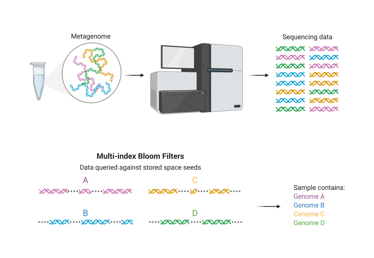GSCofBC's tweet photo. In a new study published in @PNASNews, @InancBirol and his #bioinformatics and technology lab at @BCCancer_GSC developed miBF, a fast classification tool with high sensitivity and specificity, and low demand on computational memory. Read more here! 
https://t.co/yo2JchaBQ6 https://t.co/TGO10CX5dh