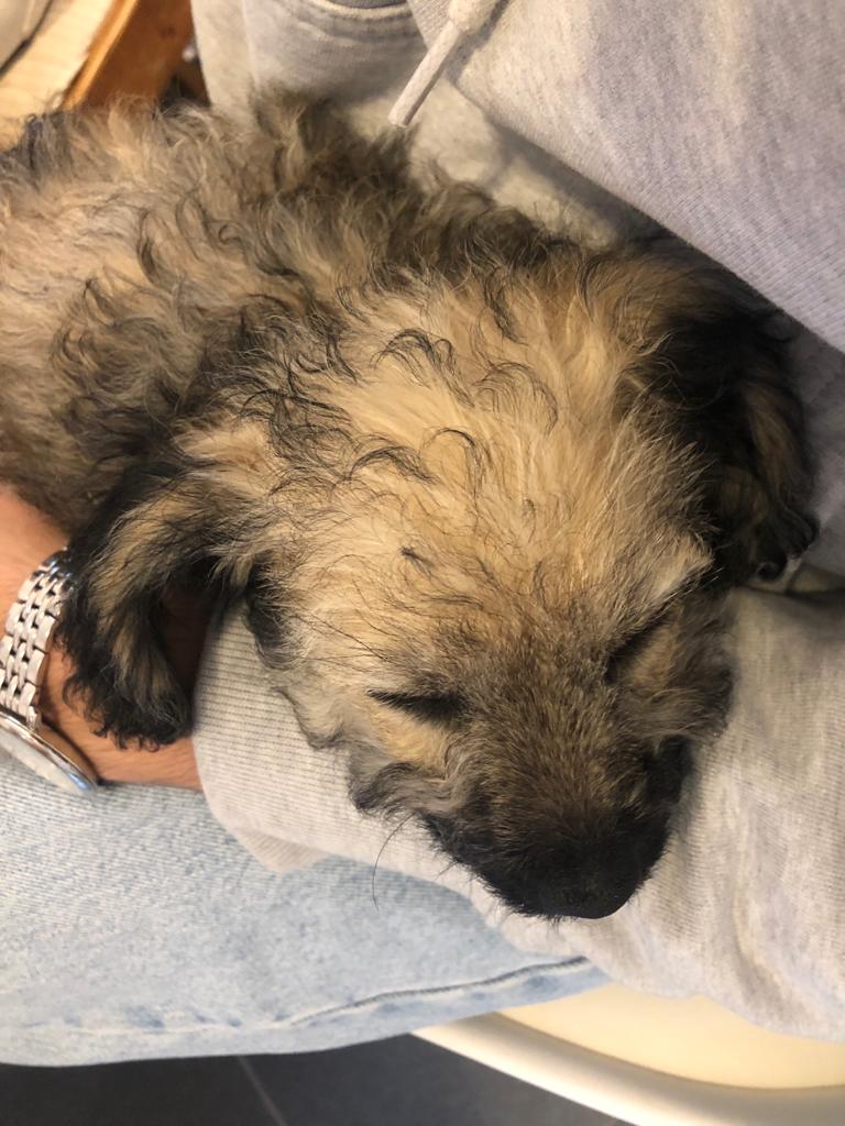 Majaa2012's tweet image. #onkommfinals mit Tilda 💜 und @annefischeer @marthaxky @annaschllmyr @kaathrin_sa #lassmalsehen #onkomm