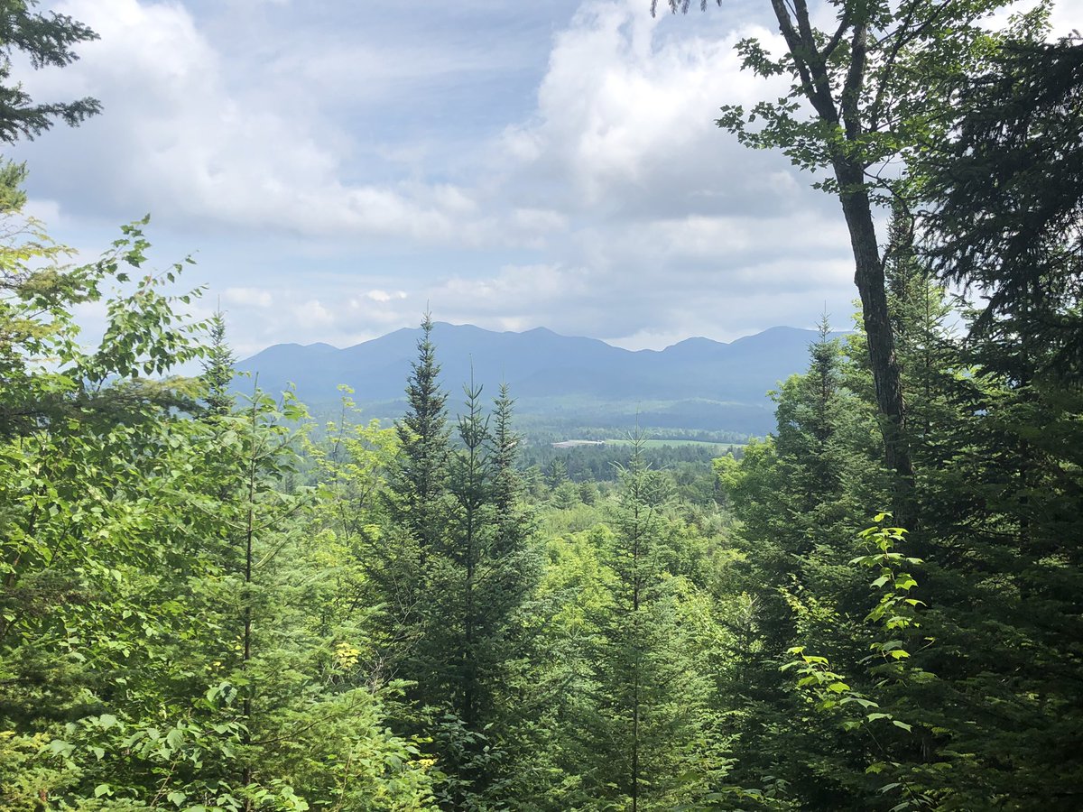 JDolinak's tweet photo. #Adirondacks #SentinelRange #HenrysWoods https://t.co/j2xNcwlnQ7