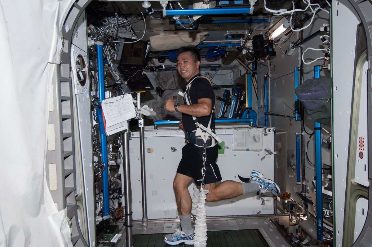 How does longduration spaceflight affect human muscles? Join us today