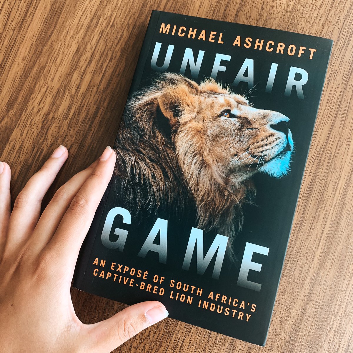 talktotheclaws's tweet photo. Unfair Game is @LordAshcroft’s investigation and exposé of South Africa’s captive bred lion industry and I’m so proud to have been quoted, detailing my volunteering experience. Available now: https://t.co/Cz5klPN4za https://t.co/oaIztqGGlf