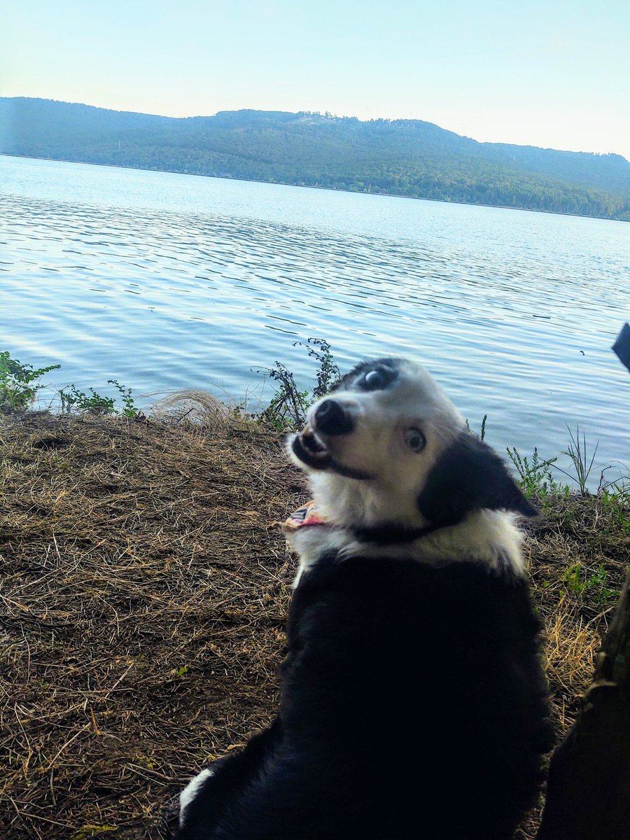 hannnahshepard's tweet photo. "issa nice view mom but I don't wanna get in thx" https://t.co/xAwpsOLYMU