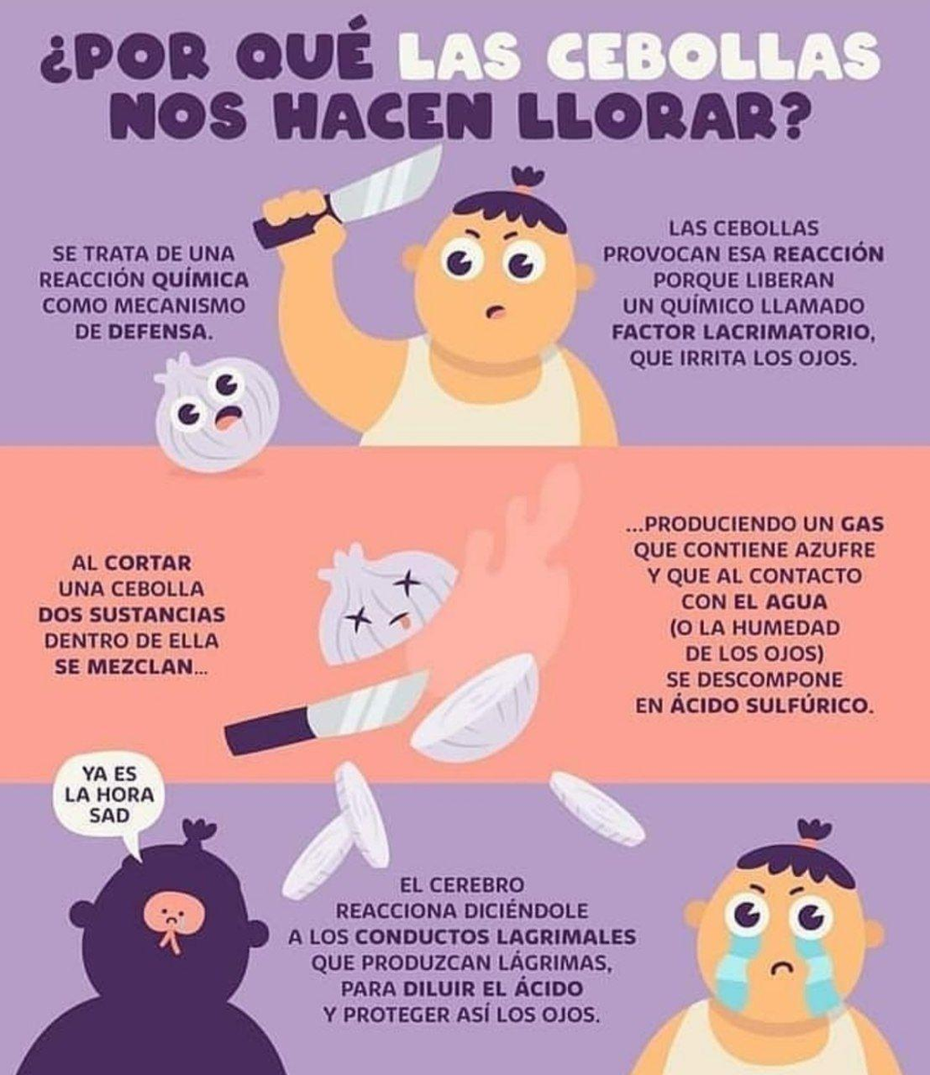 ContigoHogar's tweet photo. ¿Por qué la cebolla nos hace llorar? https://t.co/yWryB6OaeM