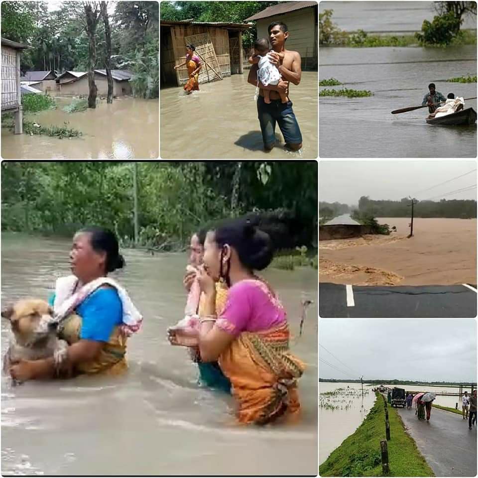 GabbarTeam's tweet photo. असम एक मुश्किल स्थिति में है। मई के अंत से, असम के कई जिले बाढ़ से प्रभावित हैं। बाढ़ ने घर, कृषि, सड़कों, पुलों को व्यापक नुकसान पहुंचाया है और कई घरेलू और जंगली जानवरों की मौत भी हुई है। Natural Resources 4m ASSAM. We req to our @narendramodijiindia @CMOfficeAssam
#PrayForAssam https://t.co/evDVmtKR7V