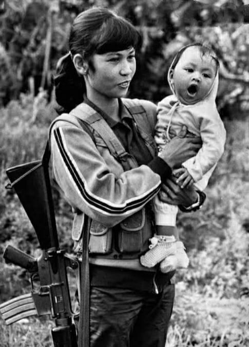 Donsol PCR (@pcrdonsol) on Twitter photo 