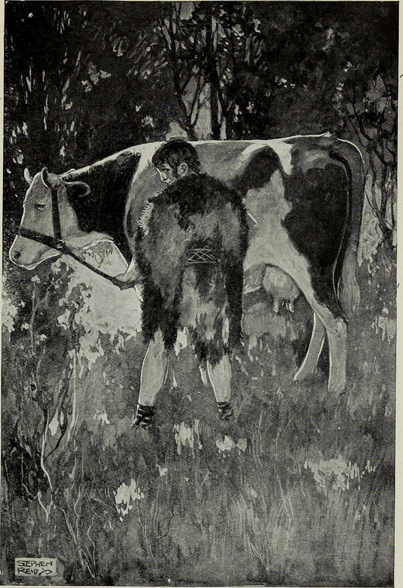 One day the magic cow Glas Gaibhnenn was stolen by Balor (giant monster King of the Fomorians)! Scottish illustrator Stephen Reid drew Balor as a red-haired boy in disguise when he was stealing him, in TW Rolleston (1910) Myths and Legends!