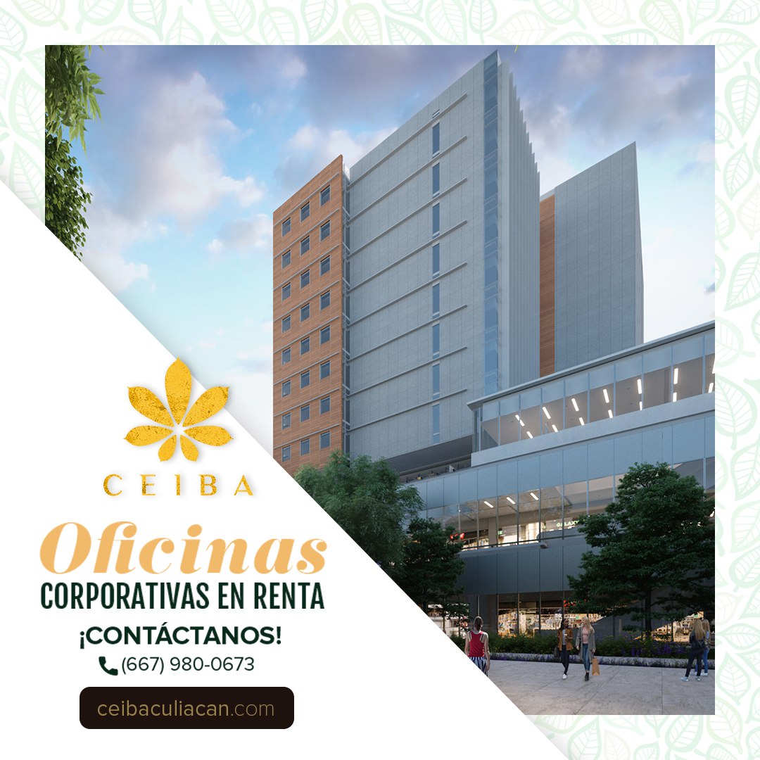 VidaCeiba's tweet photo. Contáctanos y conoce los beneficios que Ceiba te ofrece en nuestros espacios.
Tel. (667) 980-0673
#CeibaCuliacán #Oficinas https://t.co/61ZlFqsCMM