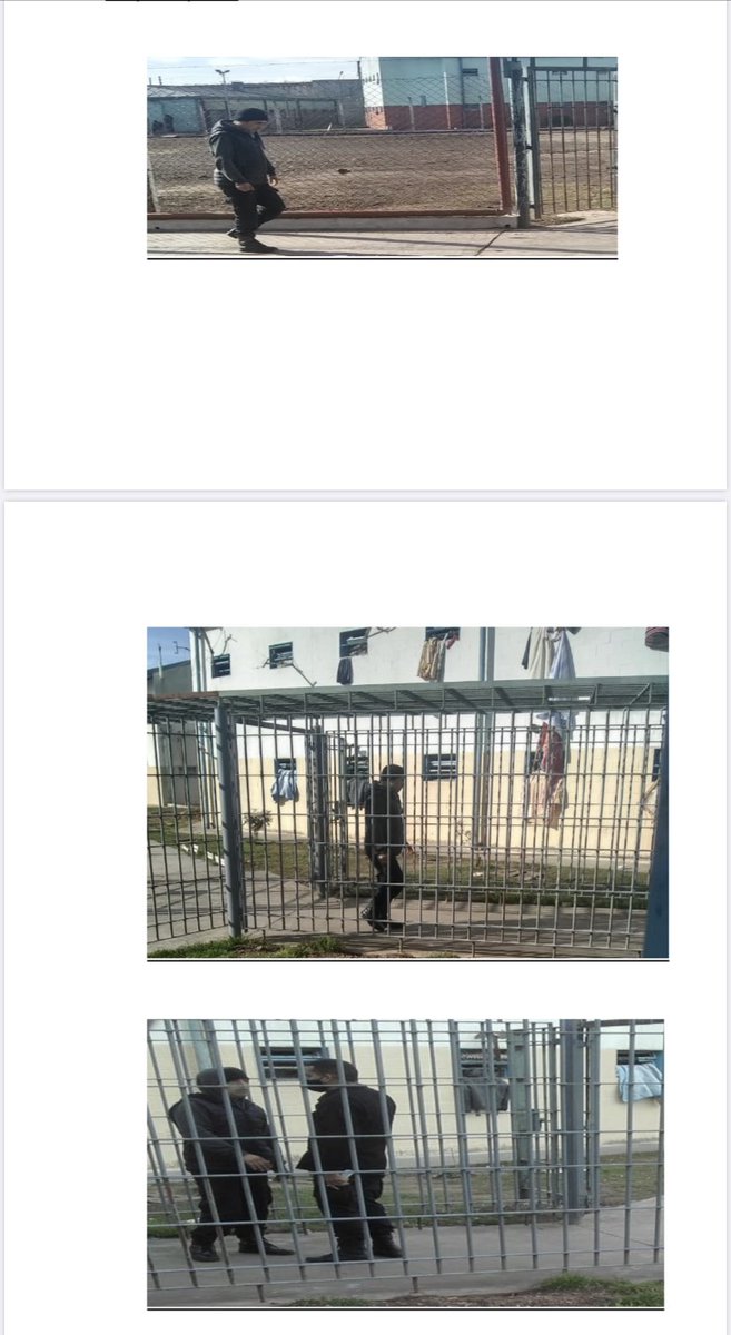 En la Unidad 31 de Varela existen varios positivos de #COVID19 pero los esconden. No sacan a los presos a atención extramuros, sino que los meten en celdas de aislamiento. Ya se presentaron 2 habeas corpus. Y así se “respeta el protocolo”.