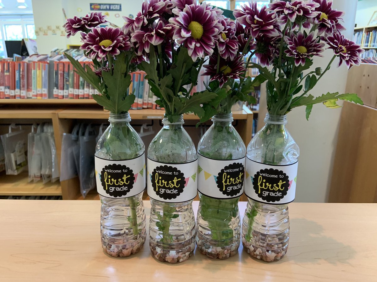 Kathy Cunningham tweet media