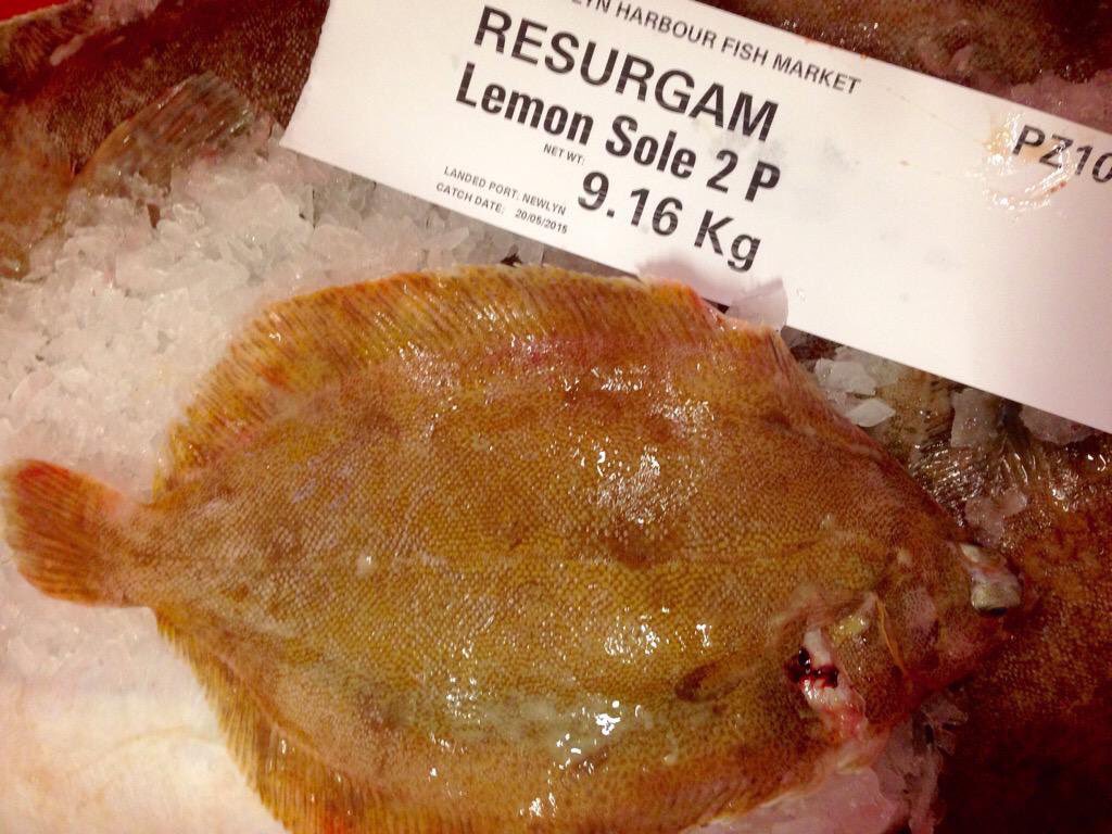 NewlynFishing's tweet photo. A Trio of #BeamTrawlers offering #FreshCornish Prime Fish including rightfully becoming a #FlatFish Favourite in #CornishSole (Megrim), together with the #inshores landing #dayfresh Quality makes up #FishFriday NewlynMkt Auction! #SupportLocalFishmongers #EatMoreFish https://t.co/ubeo0sJuoL