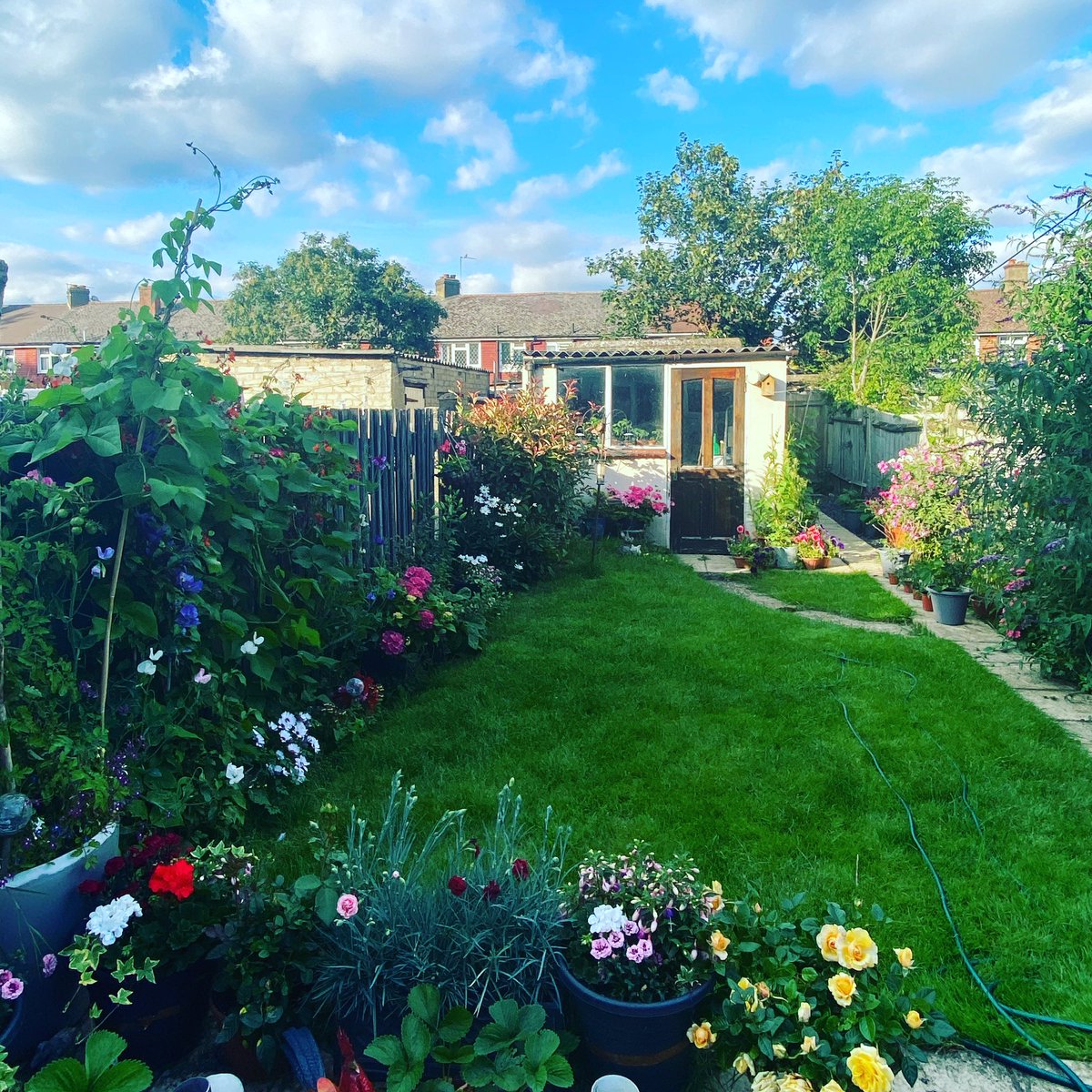 debbieflint's tweet photo. Going live over on my Facebook page at 7:15 with a singalong, book review and discussion about Mrs America/. And a tour around my back garden :-)
Here is the link to Facebook Page.
Join me weekly on Thursday nights. X
#ThursdayBantz #singalongadebbie
https://t.co/sLUioD2Qq0 https://t.co/DCq3CeVwUs