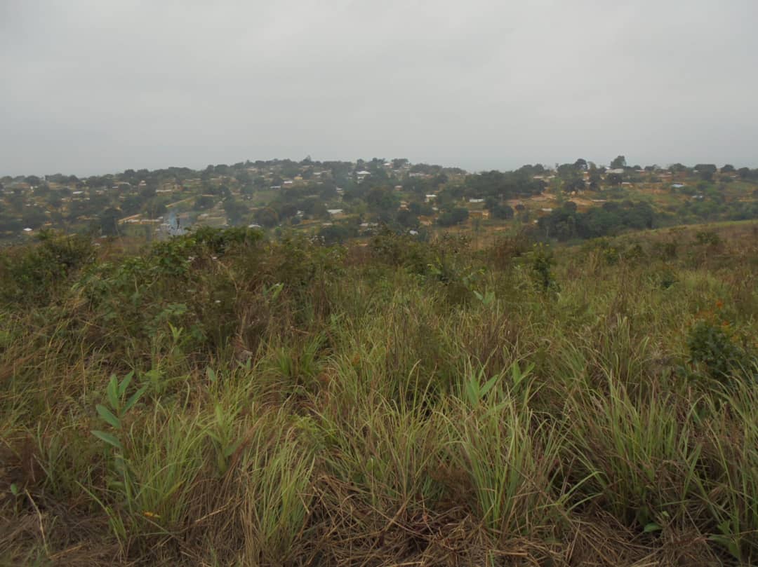 smi_congo's tweet photo. Nouvelle cité à Mbanza-Ngungu avec de belles opportunités. Plusieurs hectares à vendre.
À vos projets immobiliers !
#SMICongo #CIICongo https://t.co/S4BIy13afR