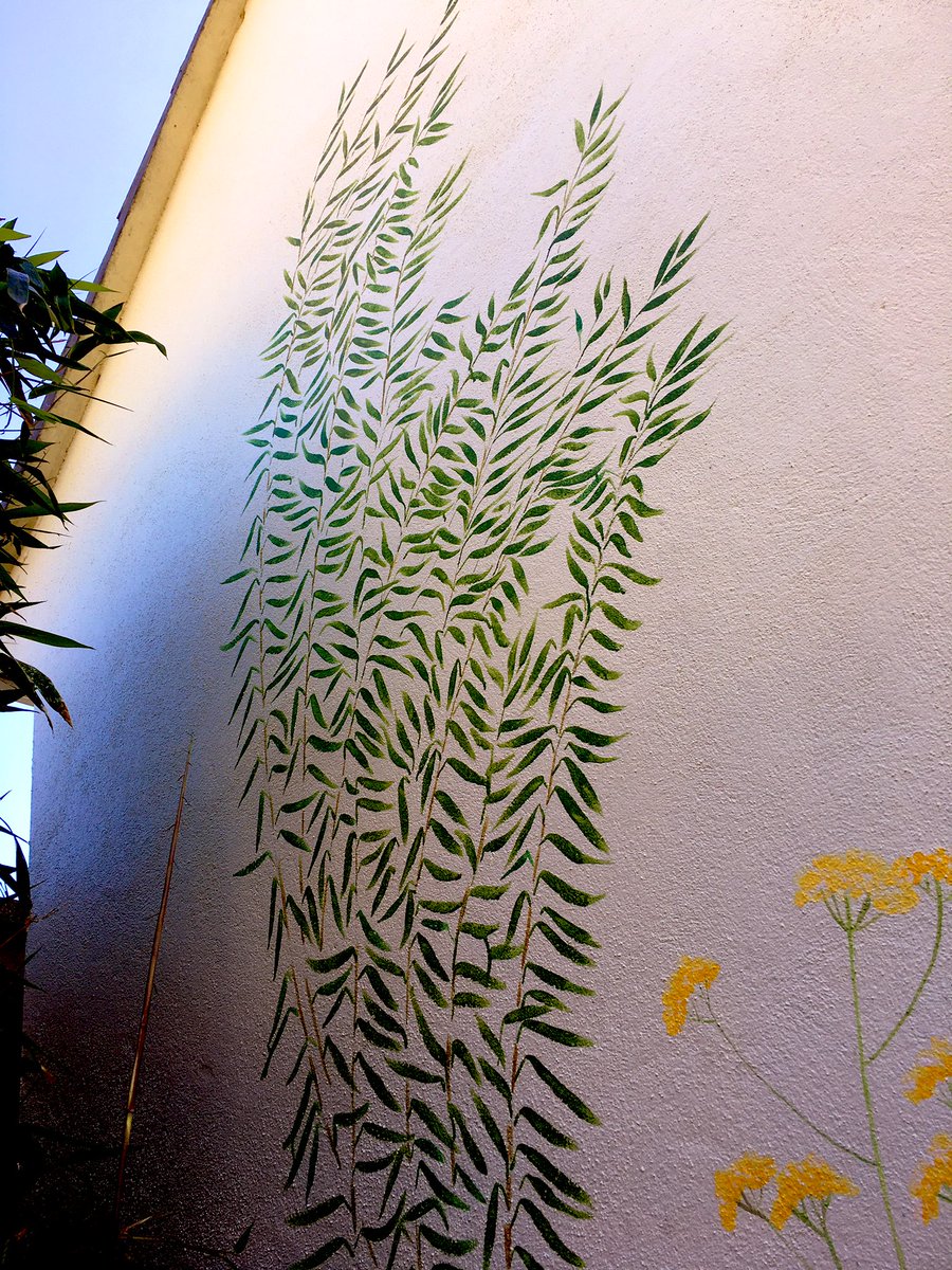 LucyVolpin's tweet photo. This weeks painting- a floral mural (try saying that 5 times fast! Hehe) great fun in the sun. #mural #artists #Flowers https://t.co/xa3VmXPlXF