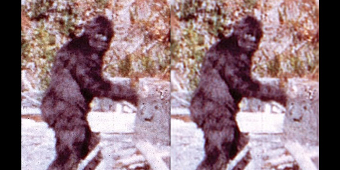 If you liked my threads on sea monster and  #LochNessMonster photos, you might enjoy this one, which focuses on something very different: the famous 1967  #Bigfoot film, variously dubbed the Patterson Film, Patterson-Gimlin Film, or Bluff Creek Film…