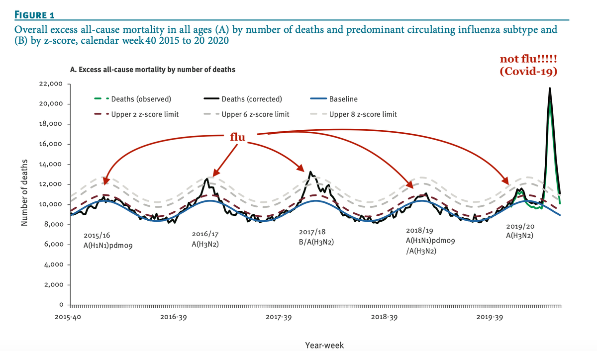 1. It's not the flu: This graph from a paper out today looking at excess mortality in England during the start of #Covid19 shows clearly this is on a whole different level than influenza. They show excess mortality of the past 5 flu seasons vs. Covid. Arrows, red lettering added.