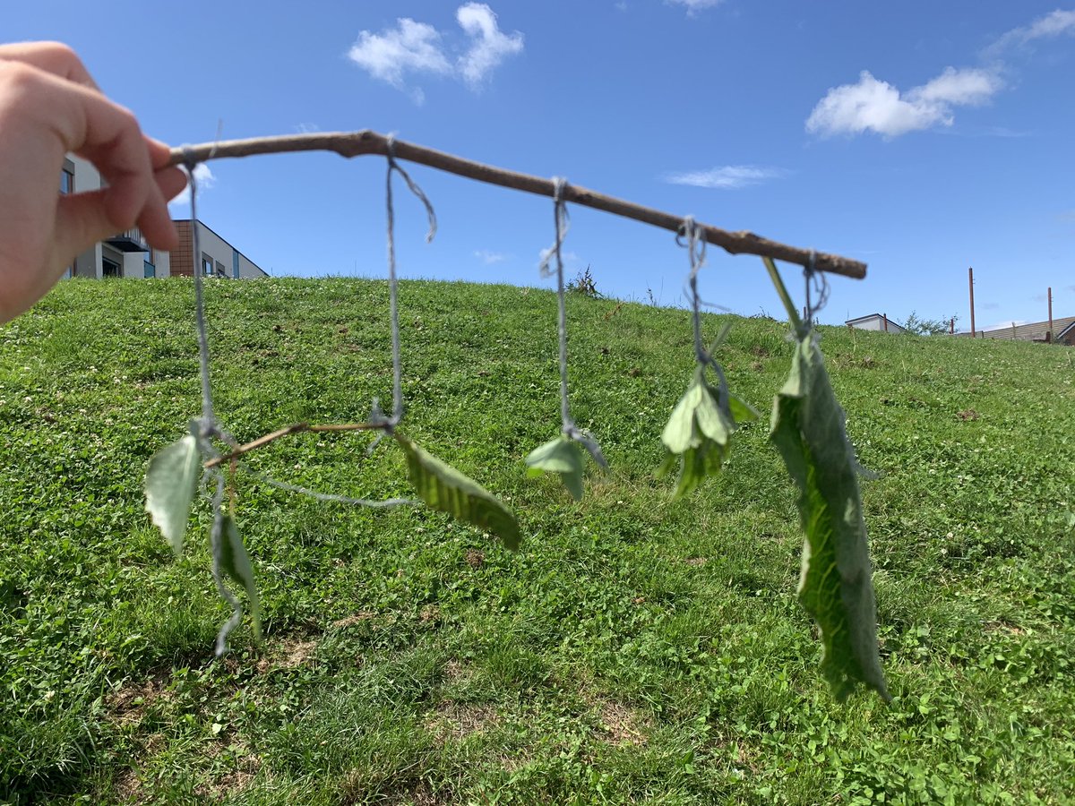 ellen2607's tweet photo. Getting outdoors with the learners today to make leaf mobiles 🍂🍃🍁💭  
.
.
.
#outdoorlearning #learninginnature #knottingskills https://t.co/3D0vy5AH32
