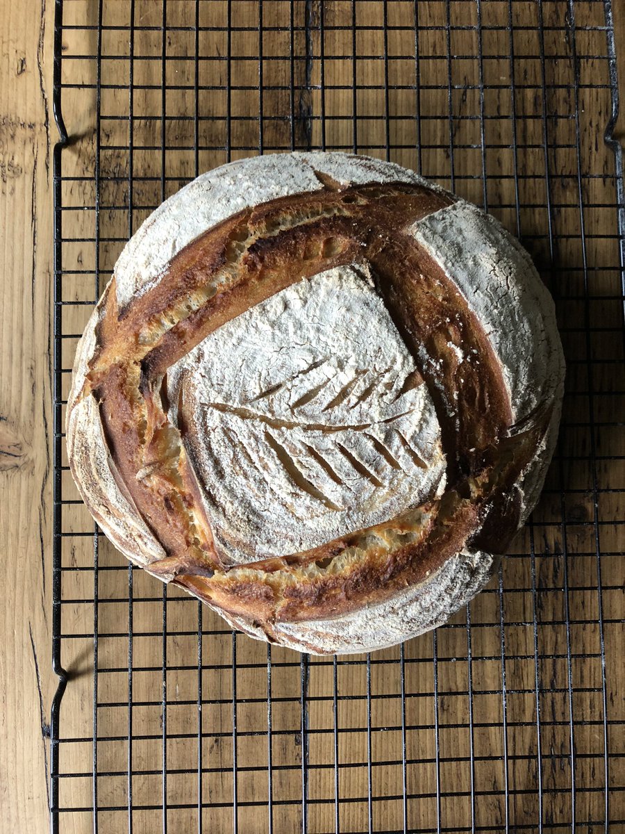 James 🌱🍞 tweet media
