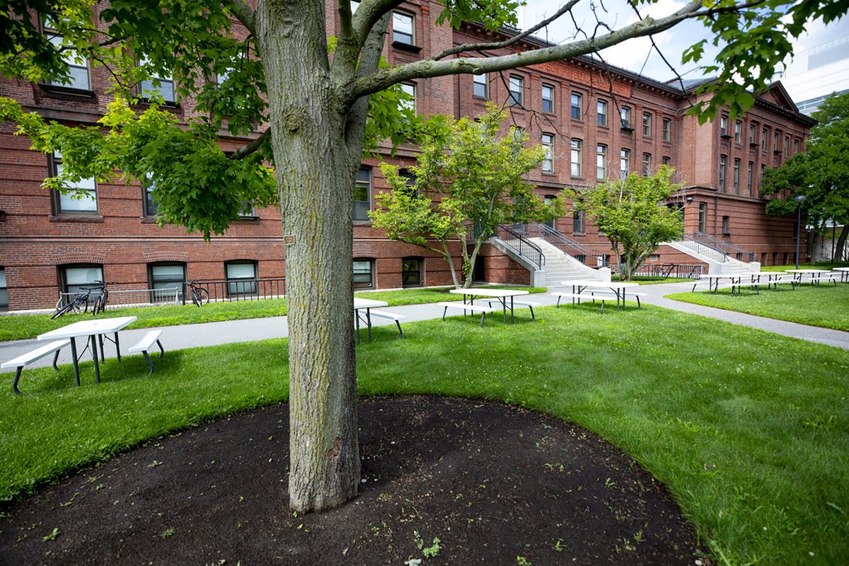 рэдклифф колледж. гарвард лав. гарвардский университет исследования. иллинойсский университет в чикаго. Harvard university кембридж, штат массачусетс, сша.