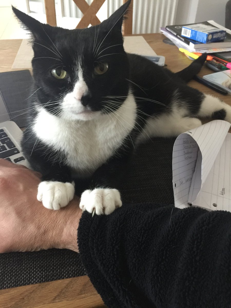 TheDetectiveFM's tweet photo. @OurFavePodcasts Boots says hello ..... https://t.co/c285FFjPzN