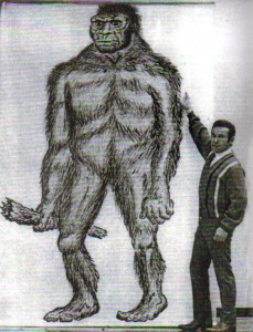 Incidentally, Patterson and Gimlin weren’t just ‘two guys out in the woods’. By 1967, Patterson had a history of involvement with Bigfoot-related projects and had even written a book about them in 1966…