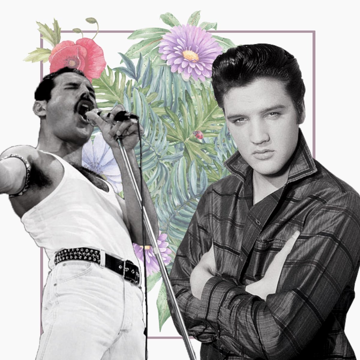 gardensessions_'s tweet photo. If you could invite one of these music icons along to your 𝐆𝐚𝐫𝐝𝐞𝐧 𝐒𝐞𝐬𝐬𝐢𝗼𝐧 who would you choose? 👀😅 #YouChoose #Elvis #FreddieMercury https://t.co/emYlxYOBak