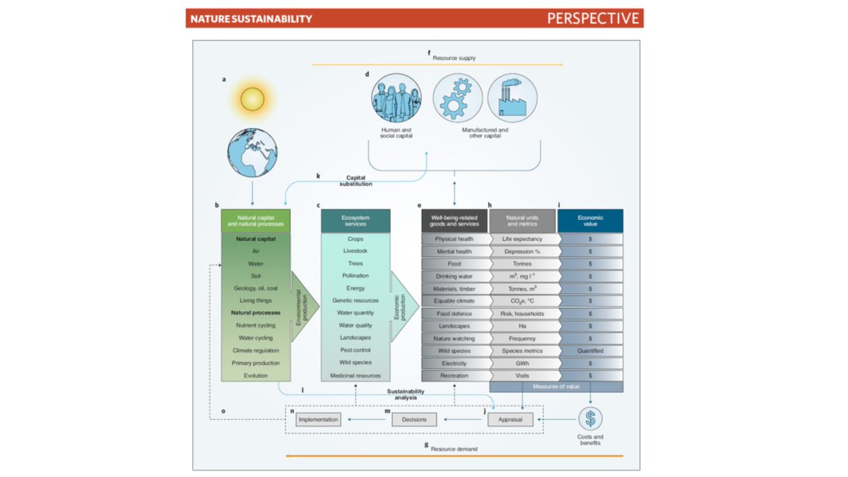 Georgina Mace tweet media