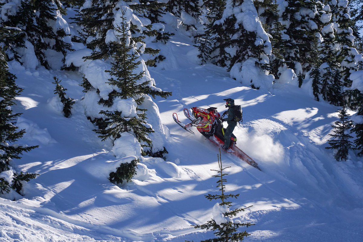 SledHead 24-7 tweet media