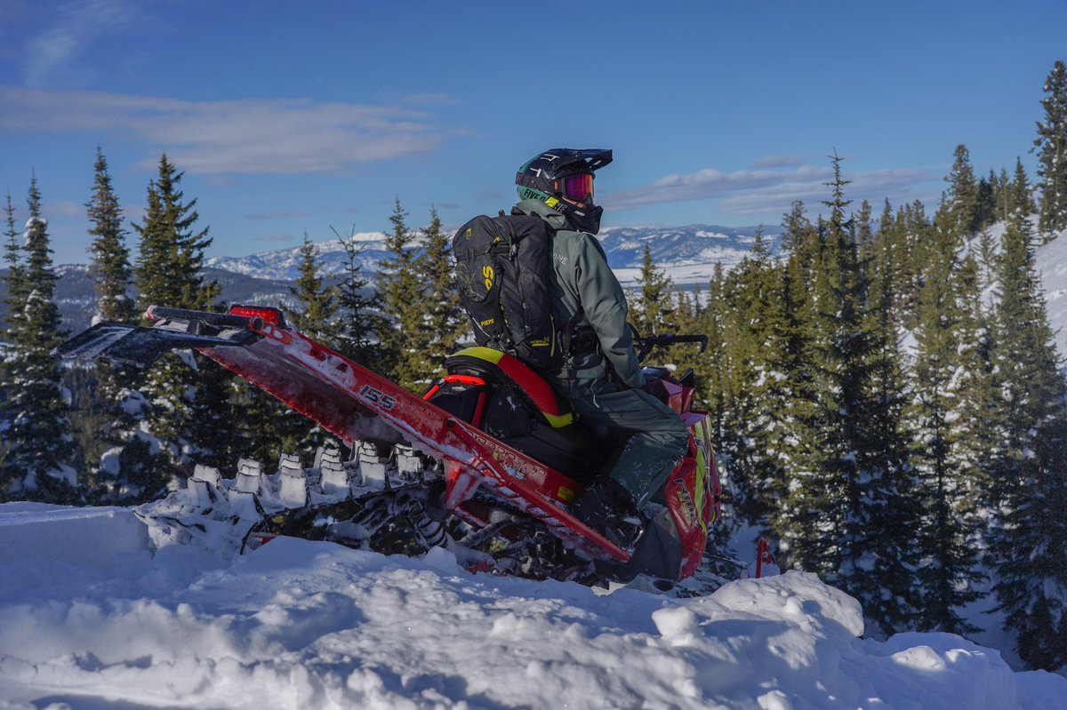 SledHead 24-7 tweet media