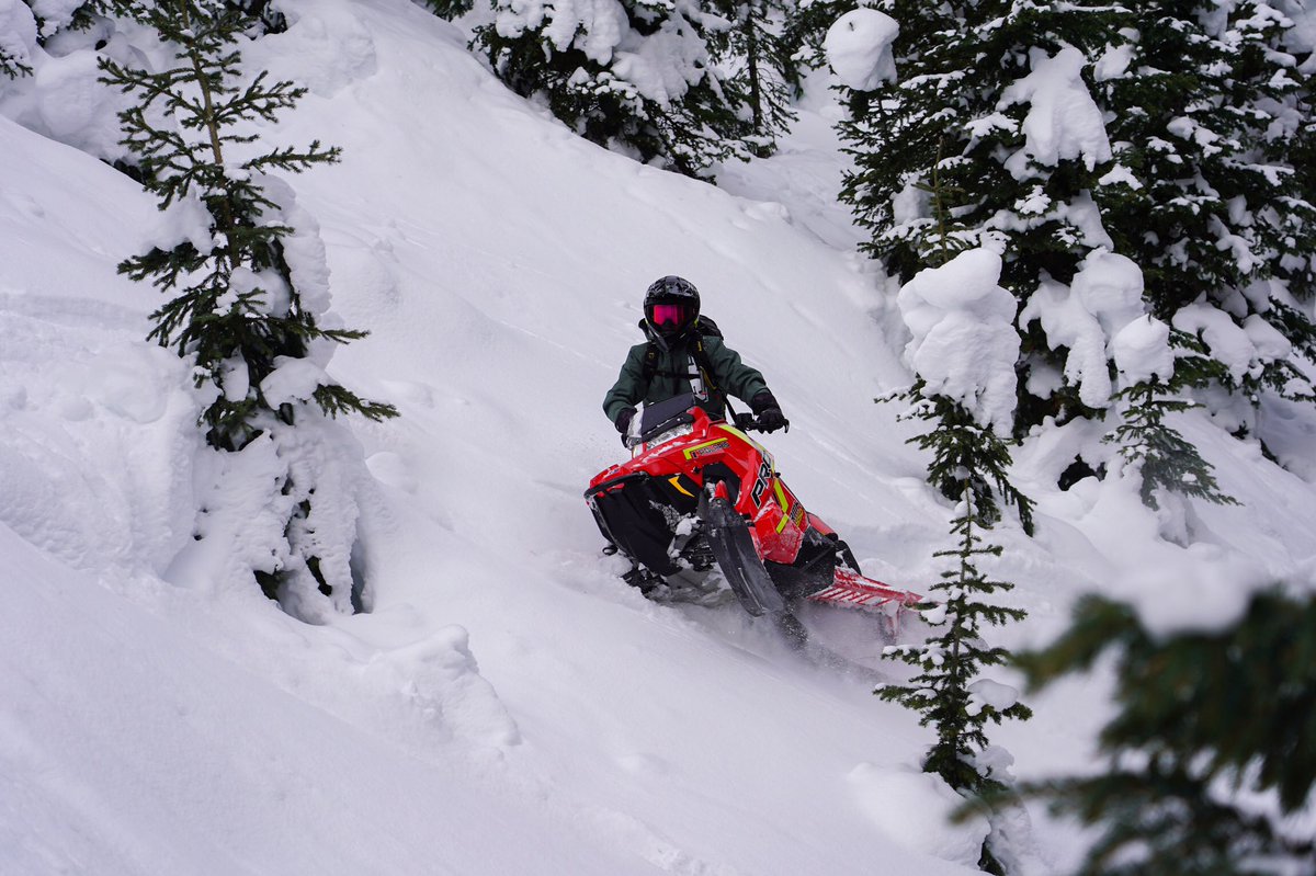 SledHead 24-7 tweet media