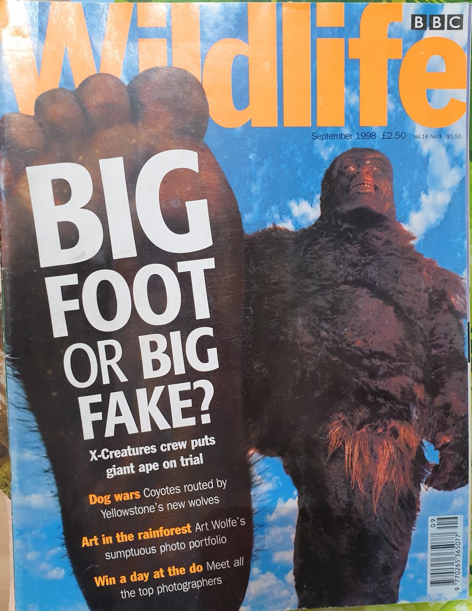 If  #Bigfoot isn’t real, the PGF is a hoax. This is the starting point for many academics, and was the official position taken by the Smithsonian when their experts were shown the footage in December 1967.