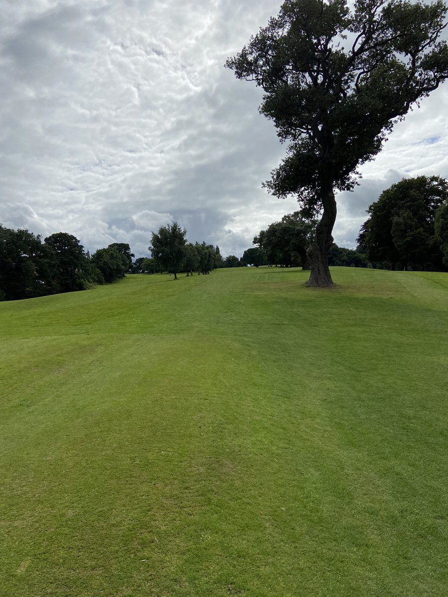GolfFlint tweet picture