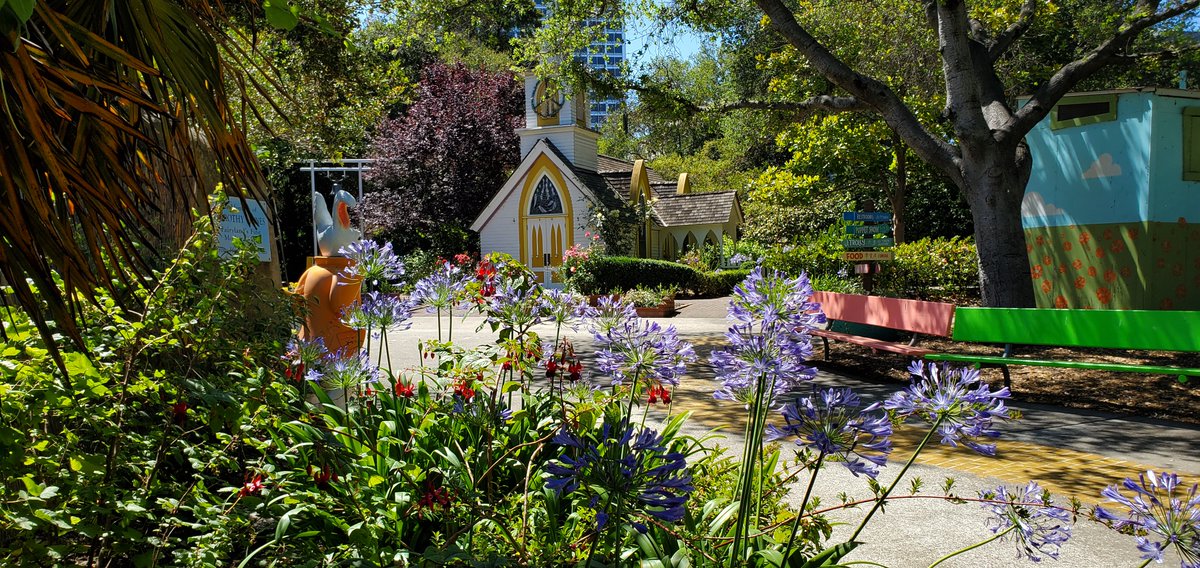 FairylandCA's tweet photo. What a week it's been for us! Thank you for all of your support. Today we took a moment to stop and admire the flowers, specifically our Agapanthuses, Fuchsias, Humboldt's Lilies, Staghorn fern and coral tree. Enjoy!
#bringthemagicback: https://t.co/l08KF0D9A4 https://t.co/ZsGYOuC63x