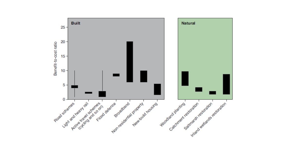 Georgina Mace tweet media