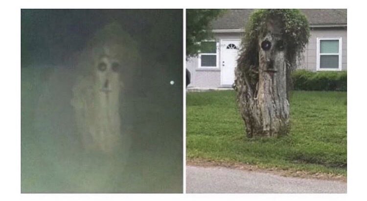 Wyatt Shears (@oldhauntedhorse) on Twitter photo 