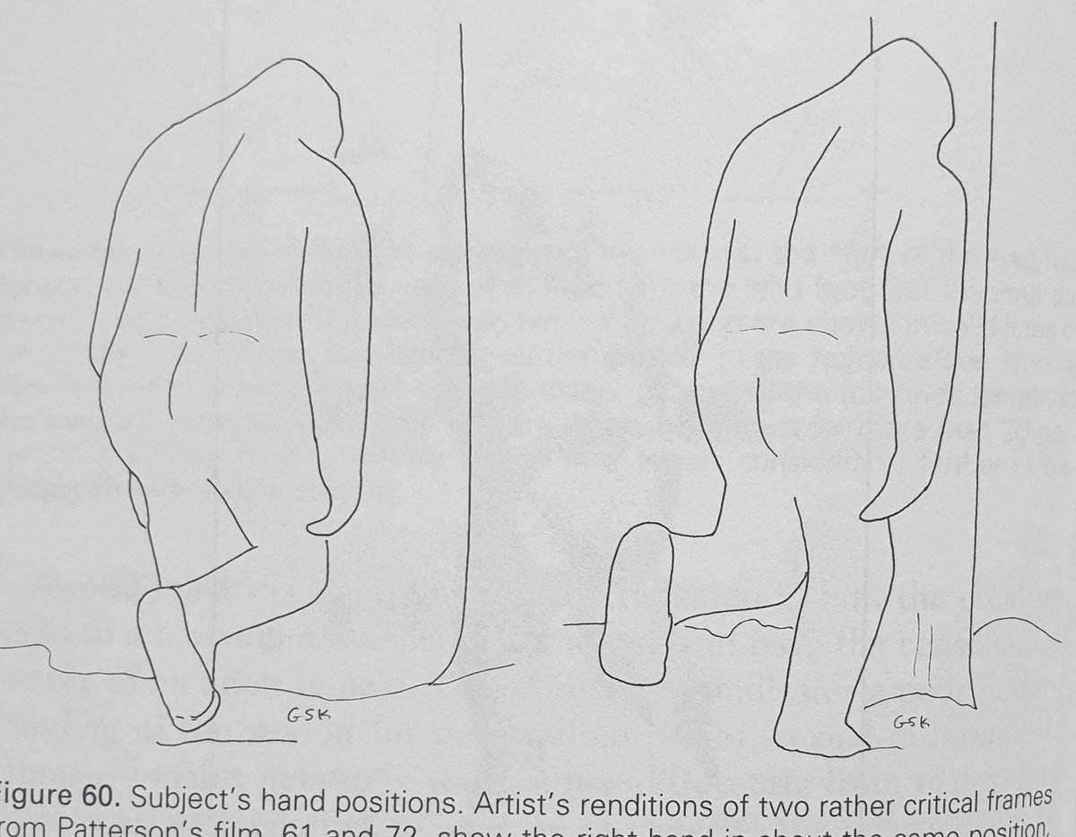 Of interest is that Krantz couldn’t get permission to use images from the actual footage (due to bad relations with Dahinden), and thus had to rely on hand-drawn diagrams.