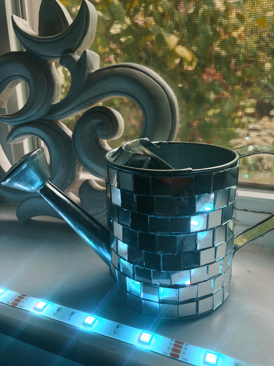 Reflekta_Plants's tweet photo. Only 4 watering cans left! $15 each or free with purchase over $150 https://t.co/yFfKczYdlm