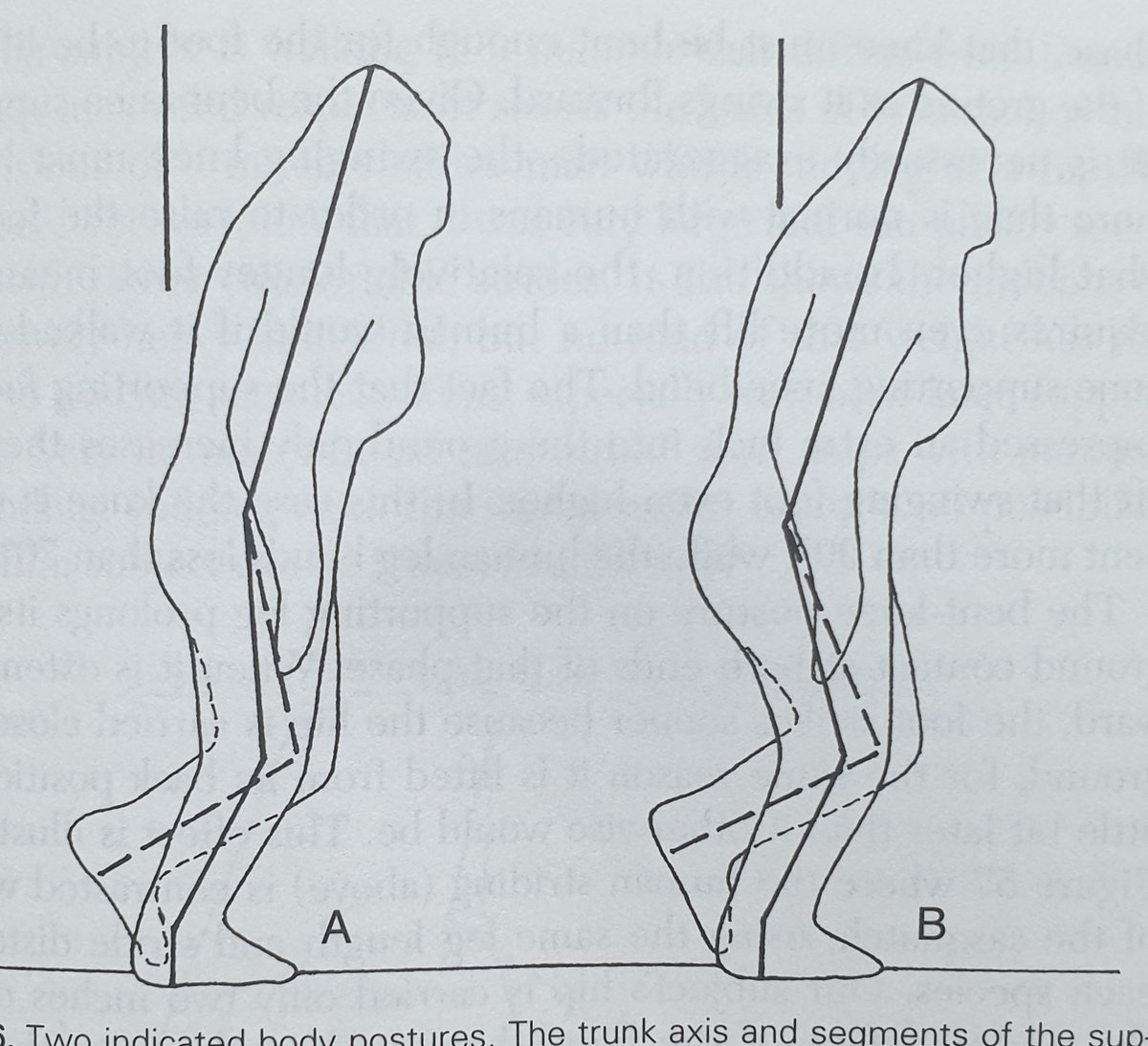 Krantz argued that the subject of the film is too large (too wide, literally too massive around the thorax) to be a person, and he used measurements from a range of people to back this up (the image with measurements, shown here, is by Green).