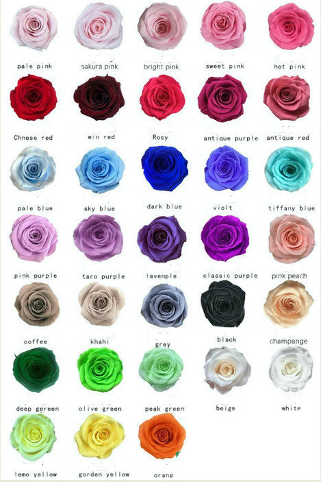 endlessblossoms's tweet photo. Thanks for the kind words! ★★★★★ "I will definitely be buying from Mary again. The flowers are incredibly beautiful." Carole https://t.co/7VOOulBqgv #etsy #wedding #independenceday #pink #preservedflower #rose6pack #diyroses #preservedrosesale #foreverroses #preservedr https://t.co/vZRBFUC0nb