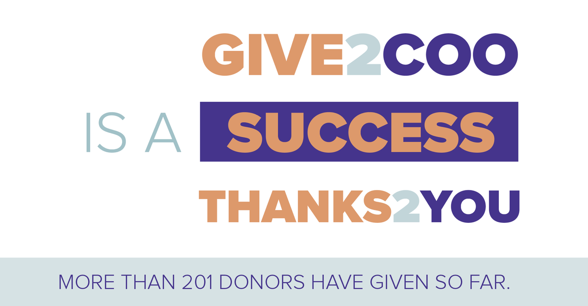 USiouxFalls's tweet photo. Help us reach our goal of 250 donors!
#GIVE2COO isn’t possible without YOU! So far, 201 donors have supported @usiouxfalls – will you? #COOmmunity
https://t.co/jviipREDlb https://t.co/lpA23AdYyj