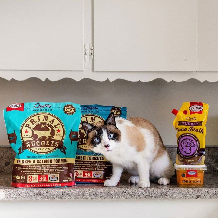 We offer <a href="/PrimalPet/">Primal Pet Foods</a> quality freeze-dried &amp; frozen raw cat &amp; dog foods in our store.  Don't currently feed raw?  Why not use it as a treat or topper and see the benefits of adding it.  #sarasota #petsupplies #rawcatfood #servinguphealthy #cats #petnutrition #petfood