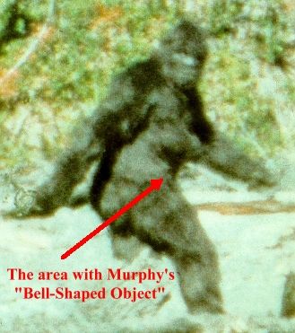 In 1999, researchers Cliff Crook and Chris Murphy claimed that a belt buckle could be seen in computer enhanced versions of the film…