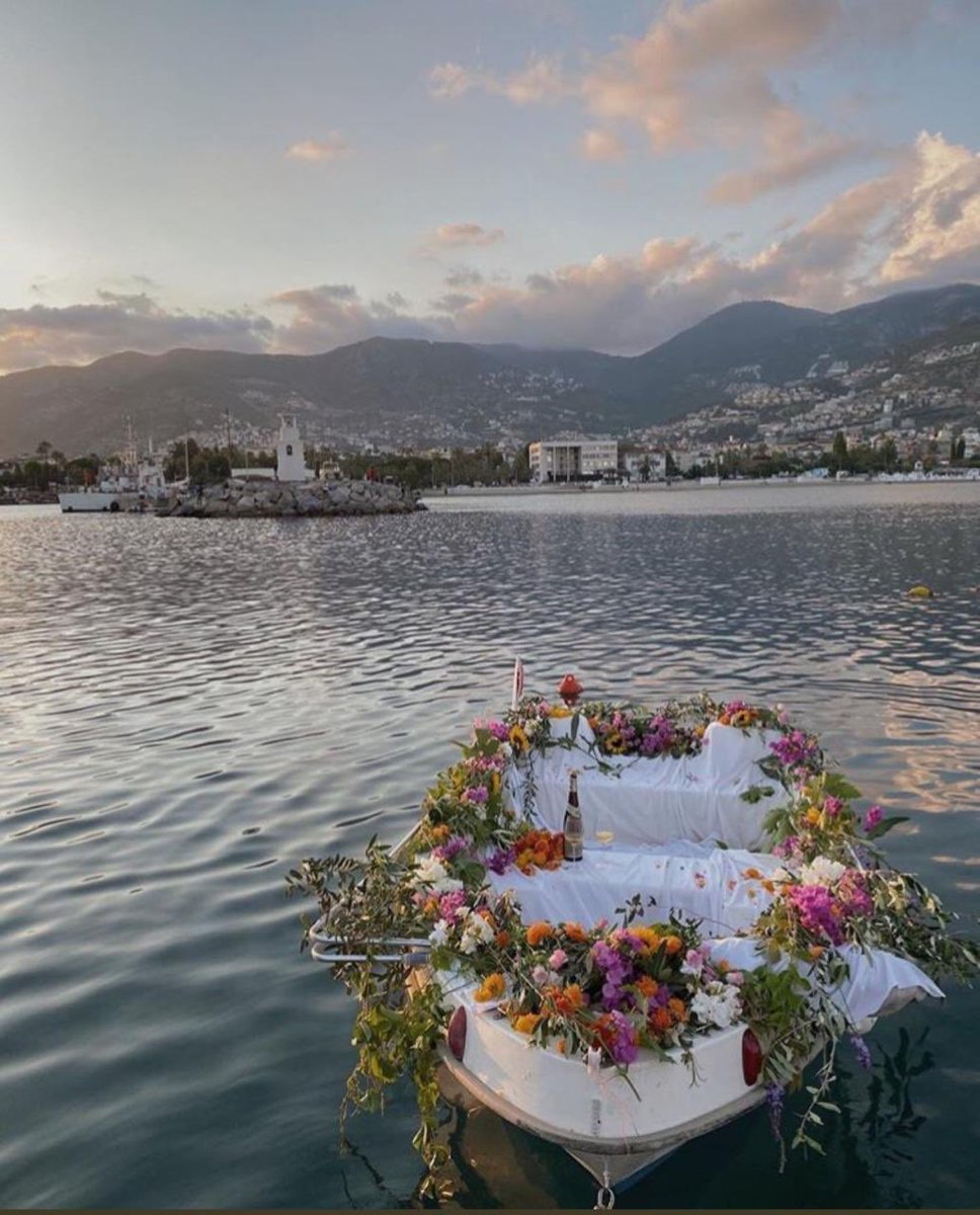 "يميلُ لها الورد، فالورد لموطنهِ يحن"🌿
