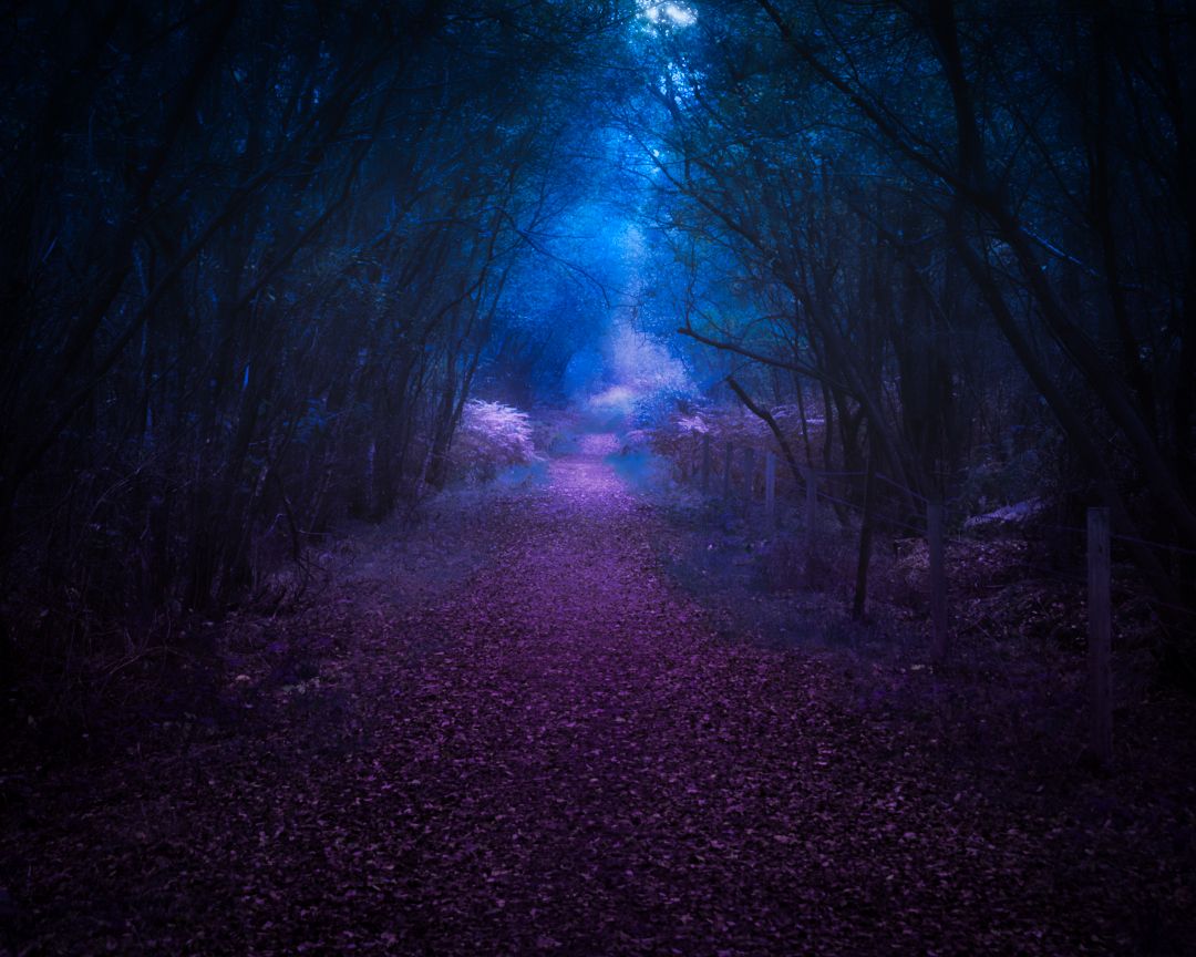 legit_wizard's tweet photo. "Stories of imagination tend to upset those without one.β
β Terry Pratchett
#trees #nature #photography #naturephotography #travel #tree #forest #germanroamers #weroamgermany #mountainstories #folkgreen #roamtheplanet #exploretherewards #modernoutdoors #naturparkfichtelgebirge https://t.co/qV2sORQyTj