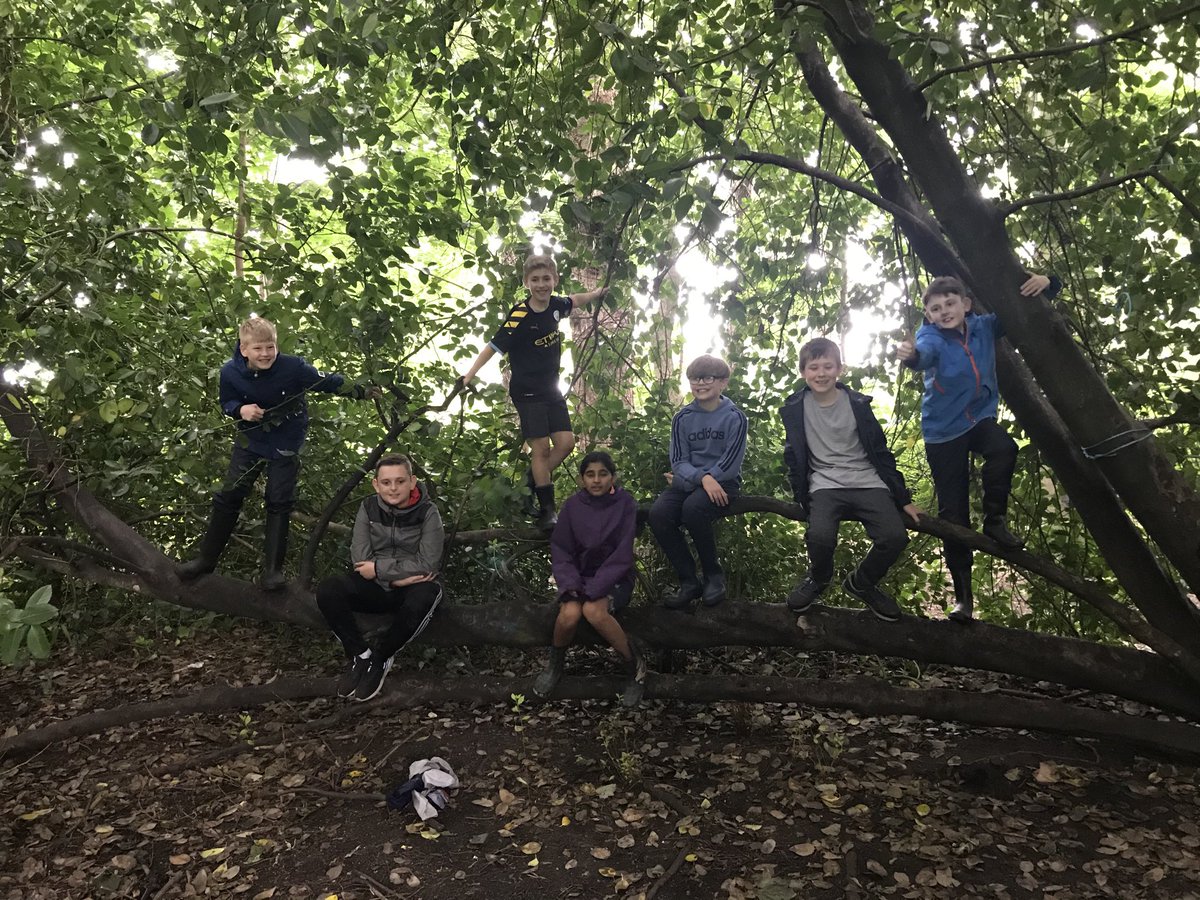 TyntesfieldCP's tweet photo. Nostalgia in the woods today! https://t.co/lt3kEA51Lc