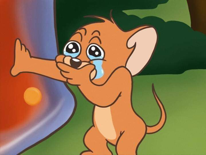 Timbers Esports tweet media