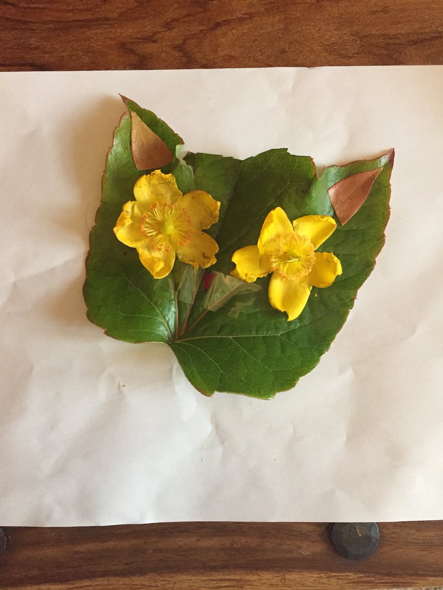 oliver2_c's tweet photo. Caitlyn’s nature art 😻@BucktonValePS @OakBV2 https://t.co/r0K7HkPeuU