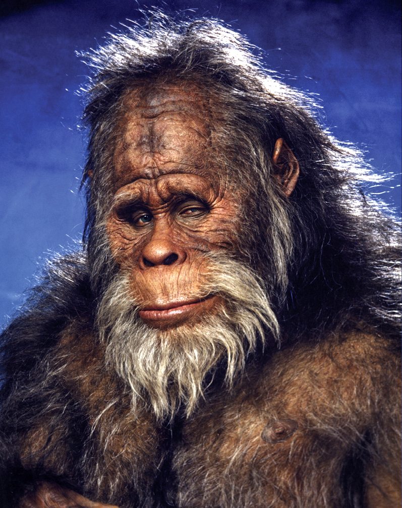 A common complaint (within the pro-Bigfoot camp) is that none of the Hollywood apes or ape-men (including from Schlock, Planet of the Apes, or even Harry and the Hendersons) look at all like Patty, nor did the effort for the BBC’s The X Creatures.